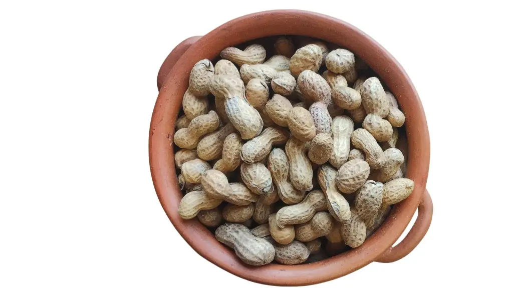 Mani Vaina (con cascara) - 1 kg