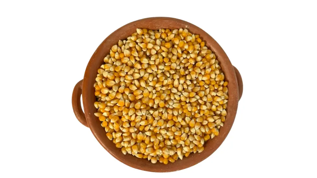 Maiz Pisingallo (Pochoclo) - 1 kg