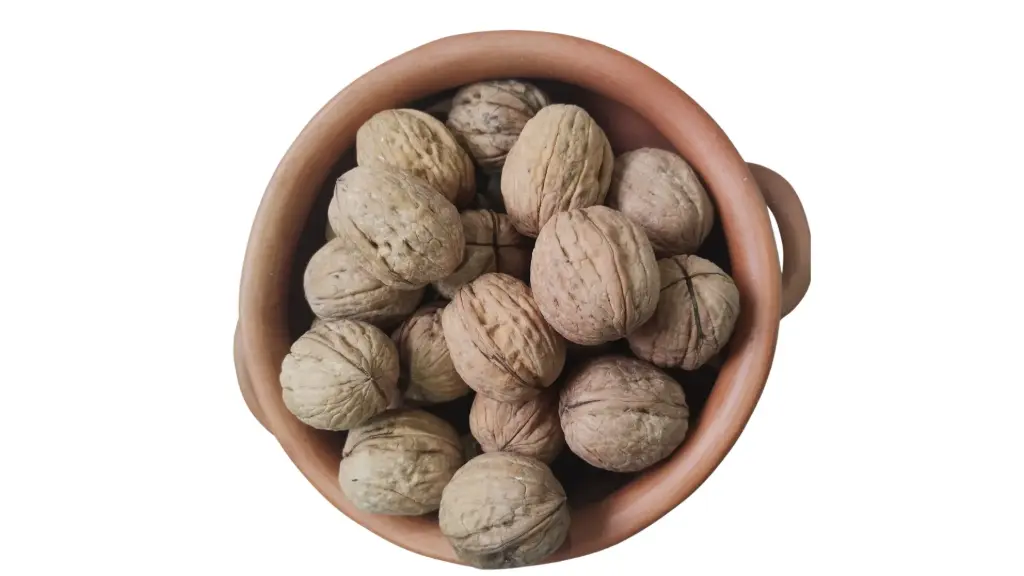 Nuez Con Cascara Calidad Exportación - 10 kg (bulto cerrado)